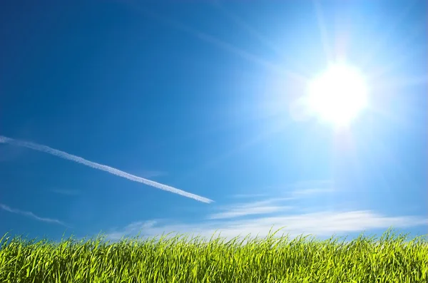 Świeża trawa i błękitne niebo słoneczny — Zdjęcie stockowe