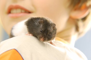 Boy with his hamster clipart