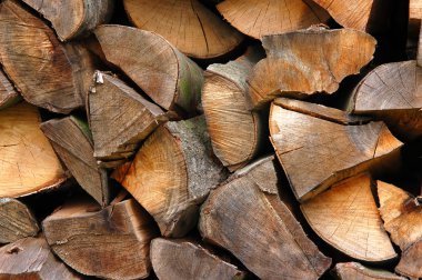 Woodpiles clipart