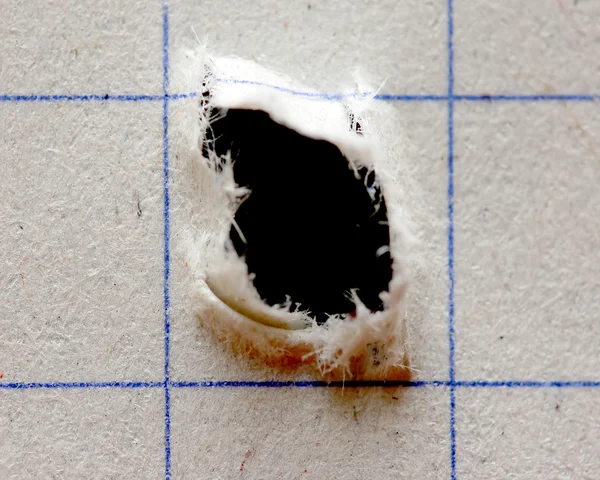 Σημειωματάριο με τρύπα — Φωτογραφία Αρχείου