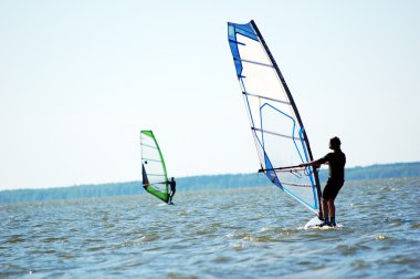 Windsurfing clipart