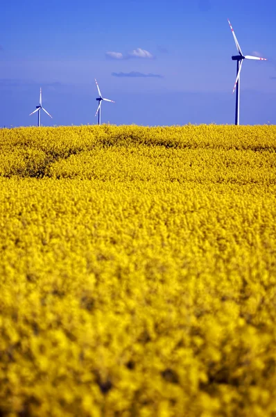 stock image Wind turbines.