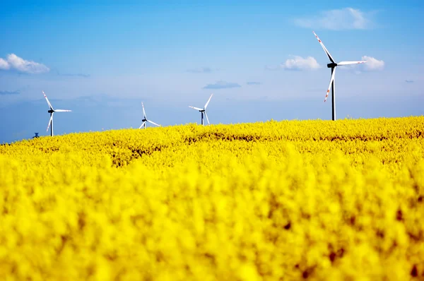 Wind turbines. — Stock Photo, Image