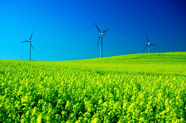 Turbinas eólicas. — Foto de Stock