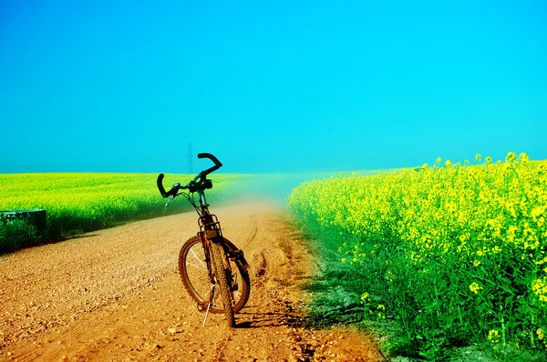 Viaje en bicicleta en verano — Foto de Stock