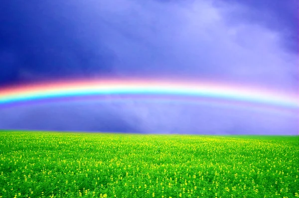 Spring rainbow landscape — Stock Photo, Image