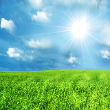 Sunny spring landscape clipart