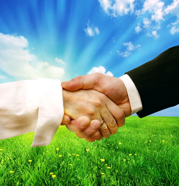 Business handshake on nature background — Zdjęcie stockowe