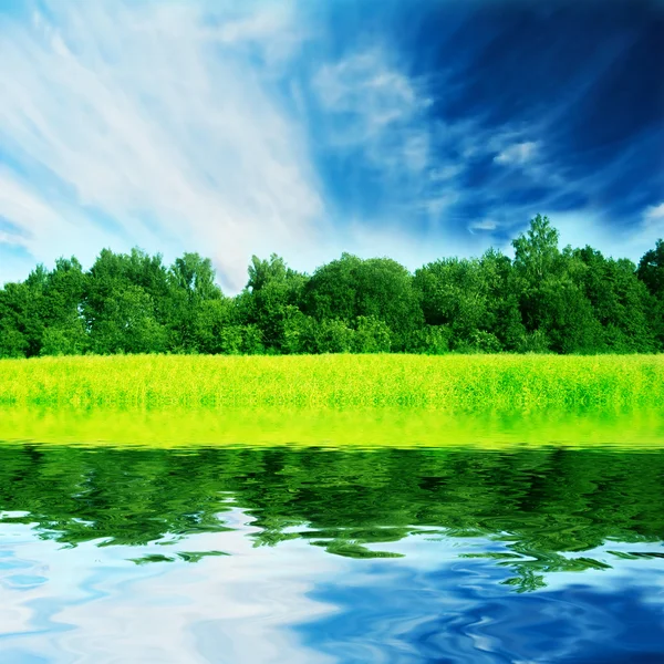 Verse groene lente landschap — Stockfoto