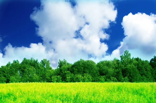 Färsk grön våren landskap — Stockfoto