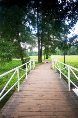 Bridge in charming park clipart