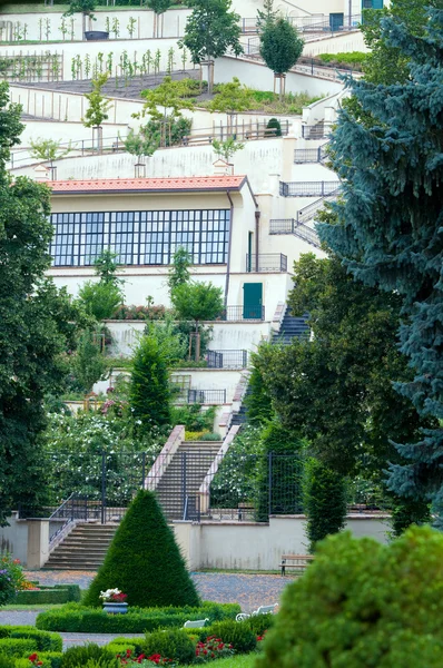 stock image Prague Castle Gardens