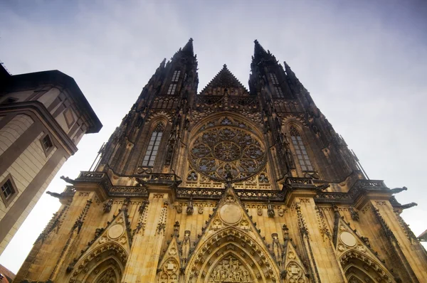 Prag. St. vitus Katedrali — Stok fotoğraf