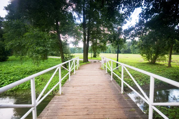 Ponte no parque encantador — Fotografia de Stock
