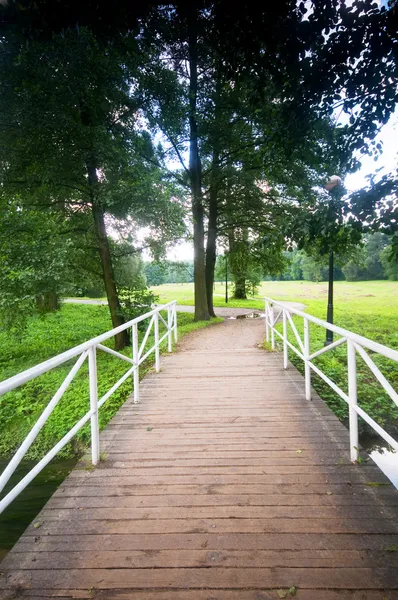 魅力的な公園を橋します。 — ストック写真
