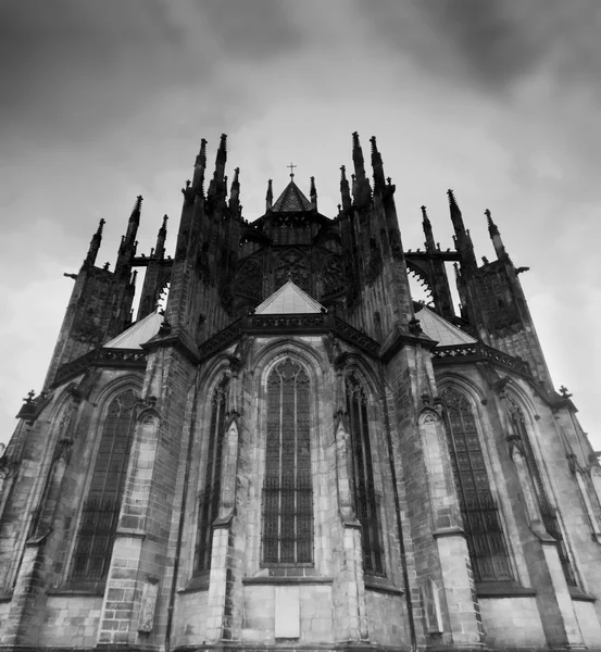 Praga. St. vitus cathedral — Zdjęcie stockowe