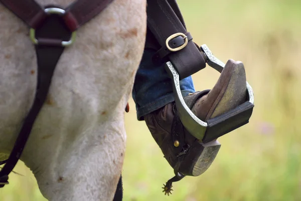 Bota do cowboy ocidental, esporão, & cavalo — Fotografia de Stock