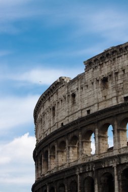 Roma colosseum