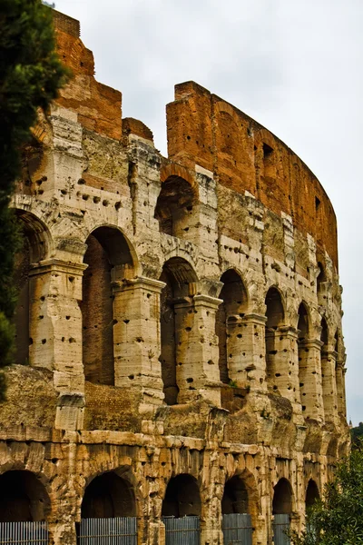 Rome Colosseum — Stock Photo, Image