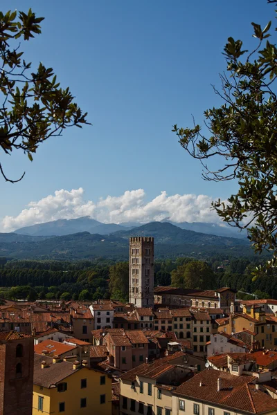 Lucca Rooftops — Stock Photo, Image