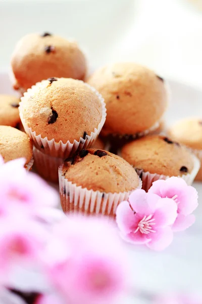 Muffinki — Zdjęcie stockowe
