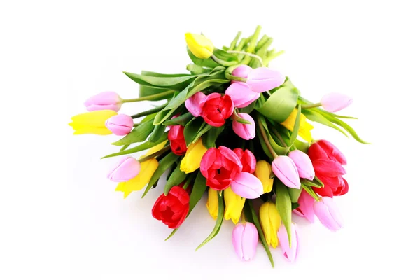 Bouquet of tulips — Stock Photo, Image