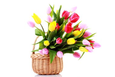 Basket full of tulips clipart