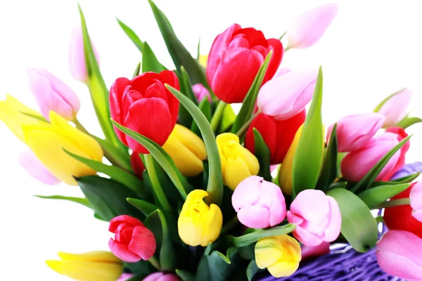 Kosár tele tulipán — Stock Fotó