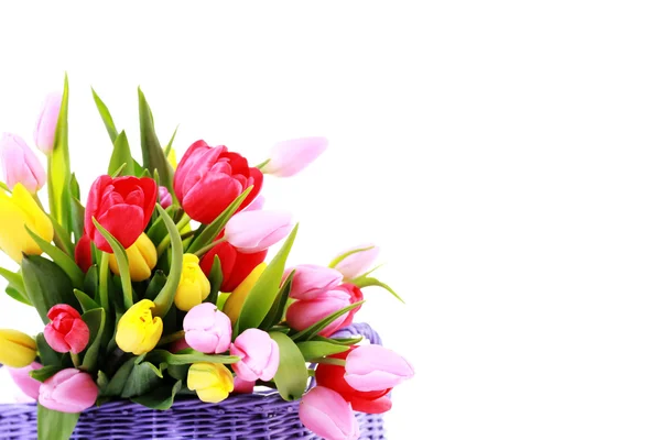 Cesta llena de tulipanes —  Fotos de Stock