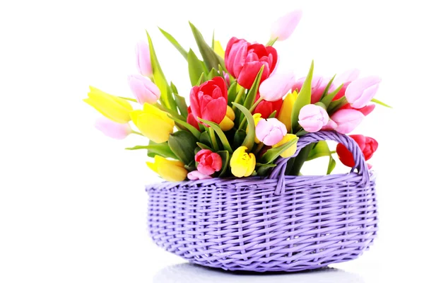 Basket full of tulips — Stock Photo, Image