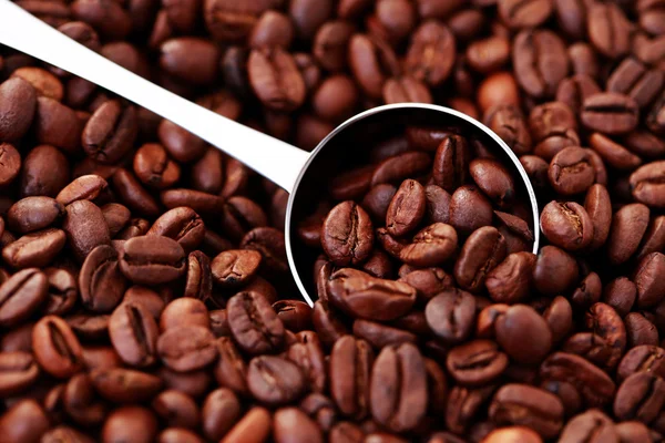 Cuchara de granos de café —  Fotos de Stock