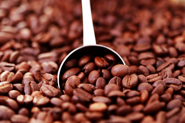 咖啡豆的匙子 — 图库照片