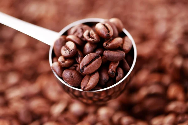 Ложка кавових зерен — стокове фото
