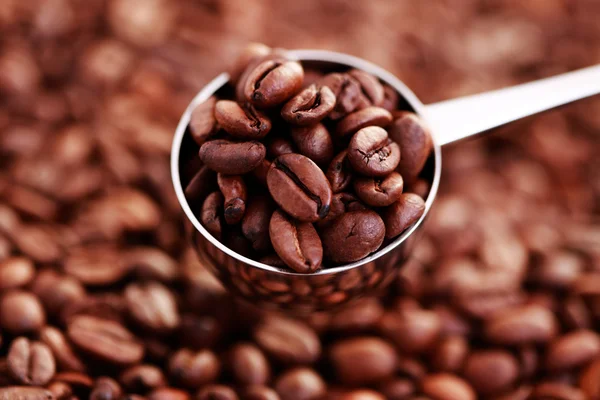 Spoon of coffee beans — Stock Photo, Image