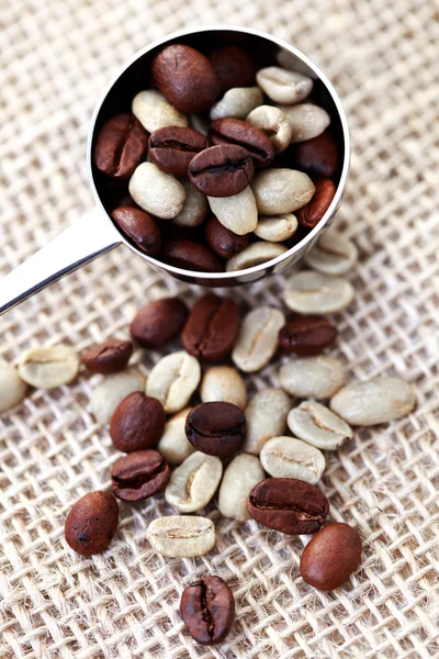 Colher de grãos de café — Fotografia de Stock