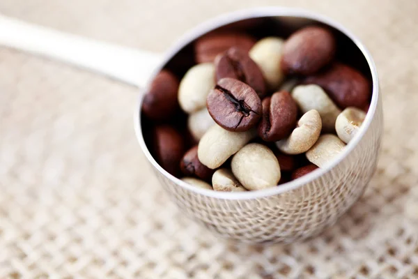 コーヒー豆のスプーン — ストック写真