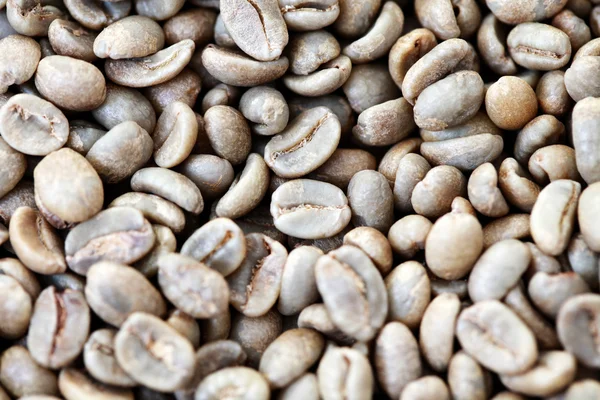 stock image Unroasted coffee beans