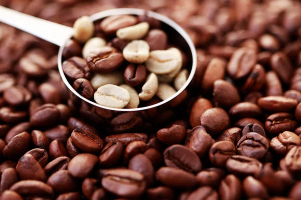 Lžička kávová zrna — Stock fotografie