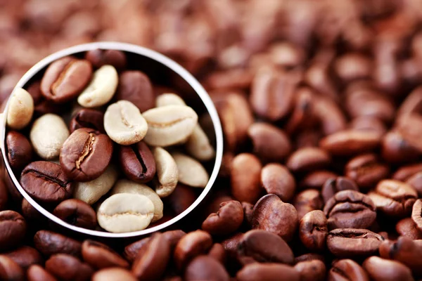 Cuillère de grains de café — Photo