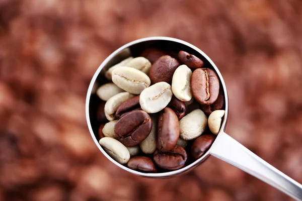 Cuchara de granos de café — Foto de Stock