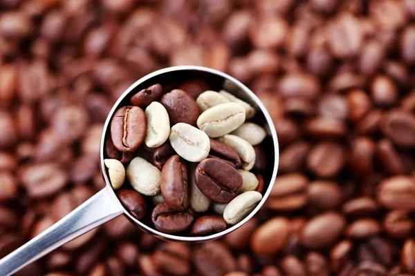 コーヒー豆のスプーン — ストック写真
