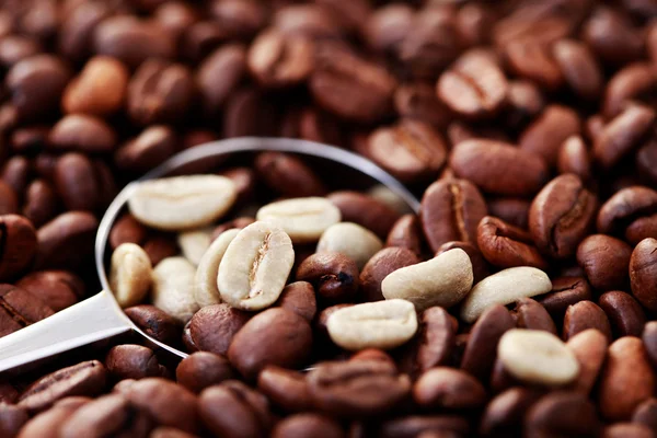 Ложка кофейных зерен — стоковое фото