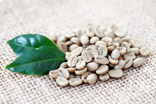 Yeşil kahve çekirdekleri — Stok fotoğraf