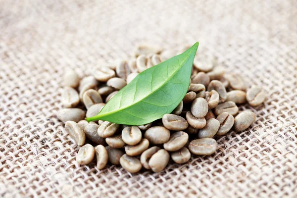 Unroasted coffee beans — Stock Photo, Image