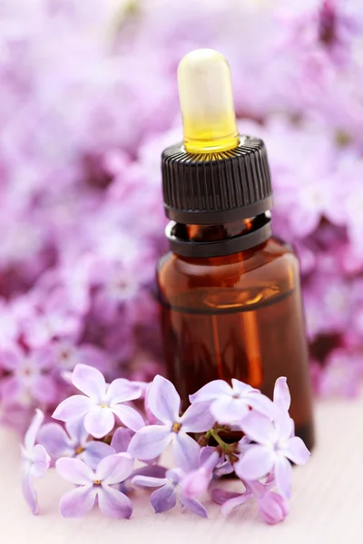 Lila aromaterapie — Stock fotografie