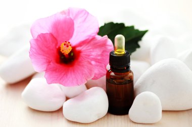 Hibiscus essential oil clipart