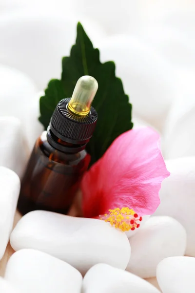 Aceite esencial de hibisco — Foto de Stock