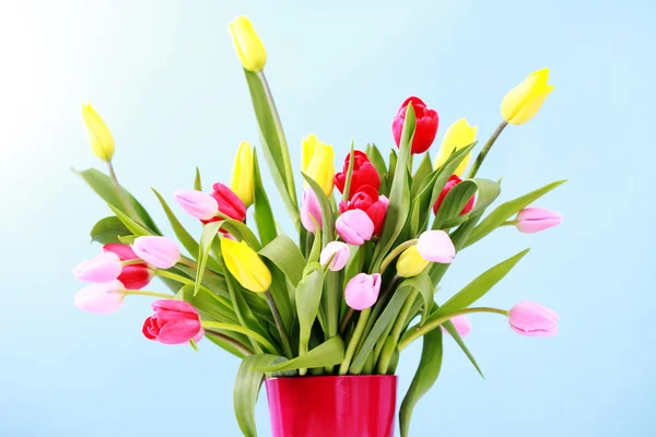 Bunch of tulips Stock Picture