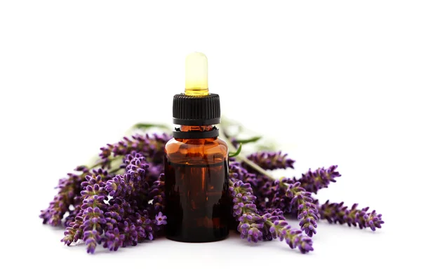 Ätherisches Lavendelöl — Stockfoto