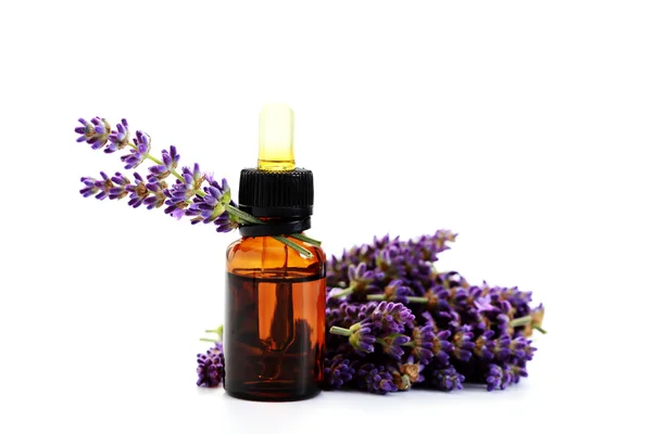 Lavendel æterisk olie - Stock-foto